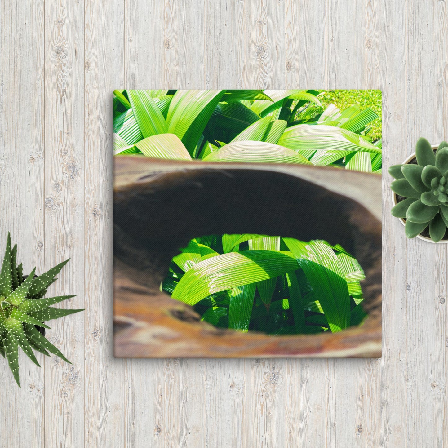 Green Leaf Canvas