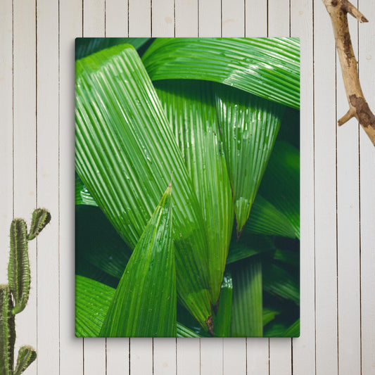 Large Leaf Canvas