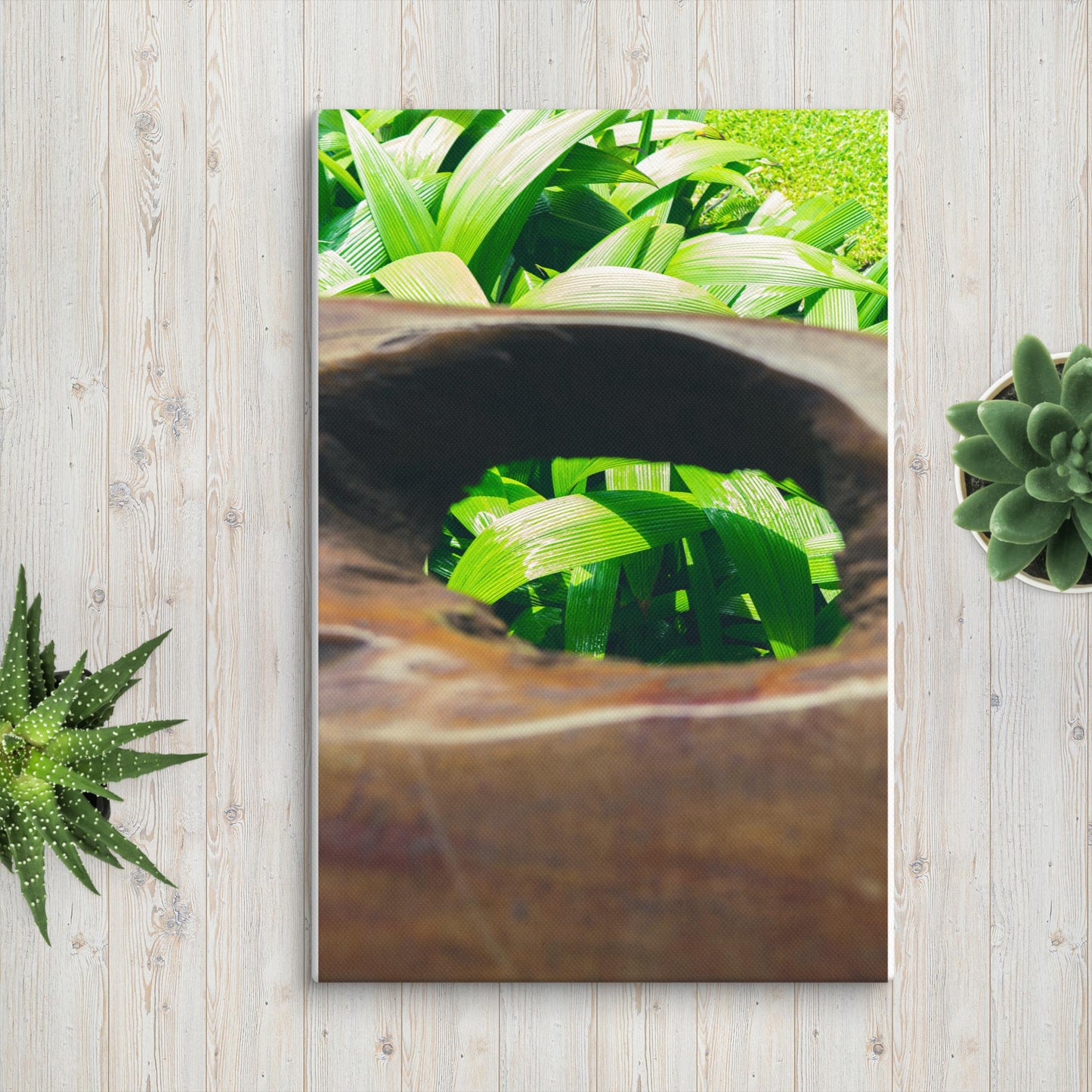 Green Leaf Canvas