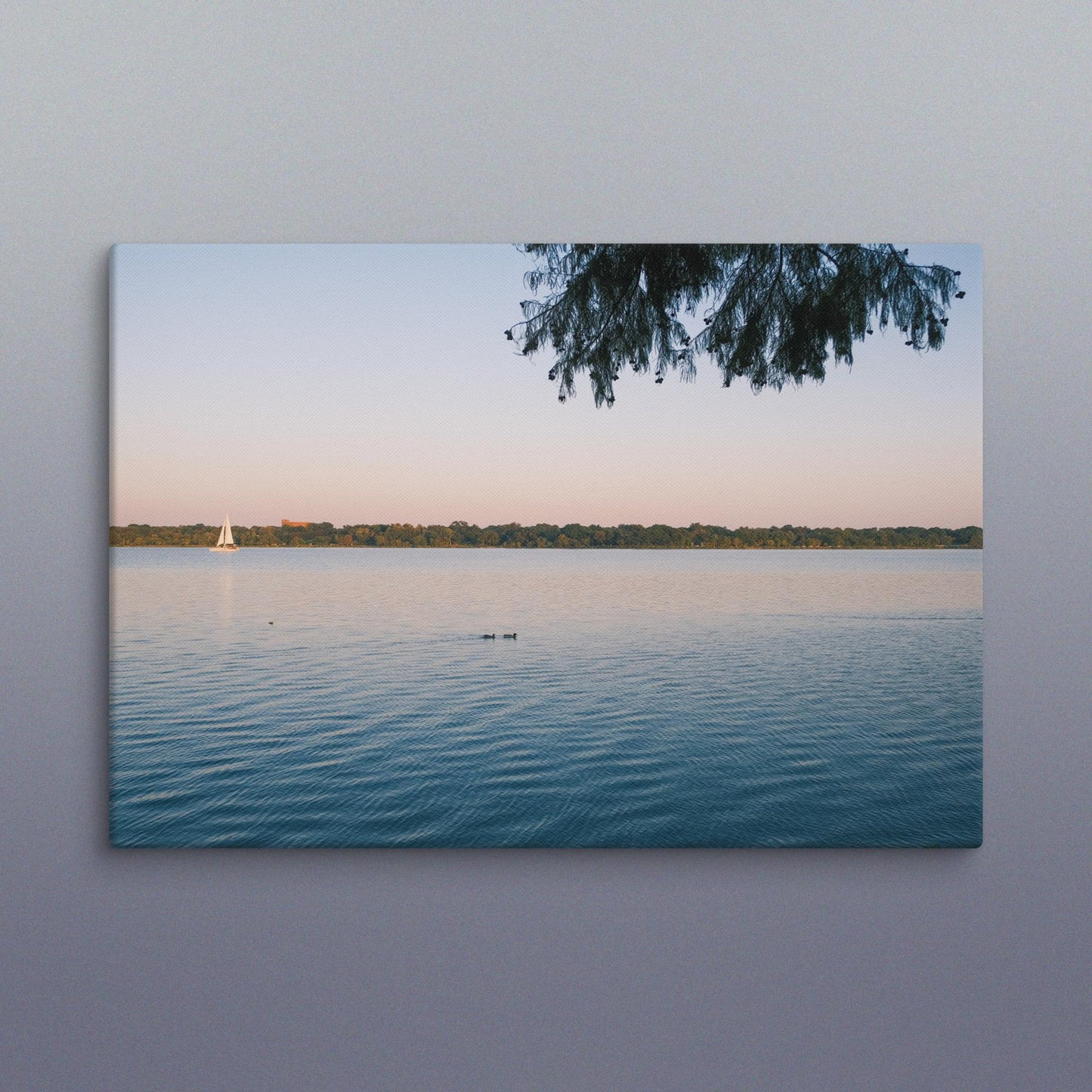 Lake Canvas