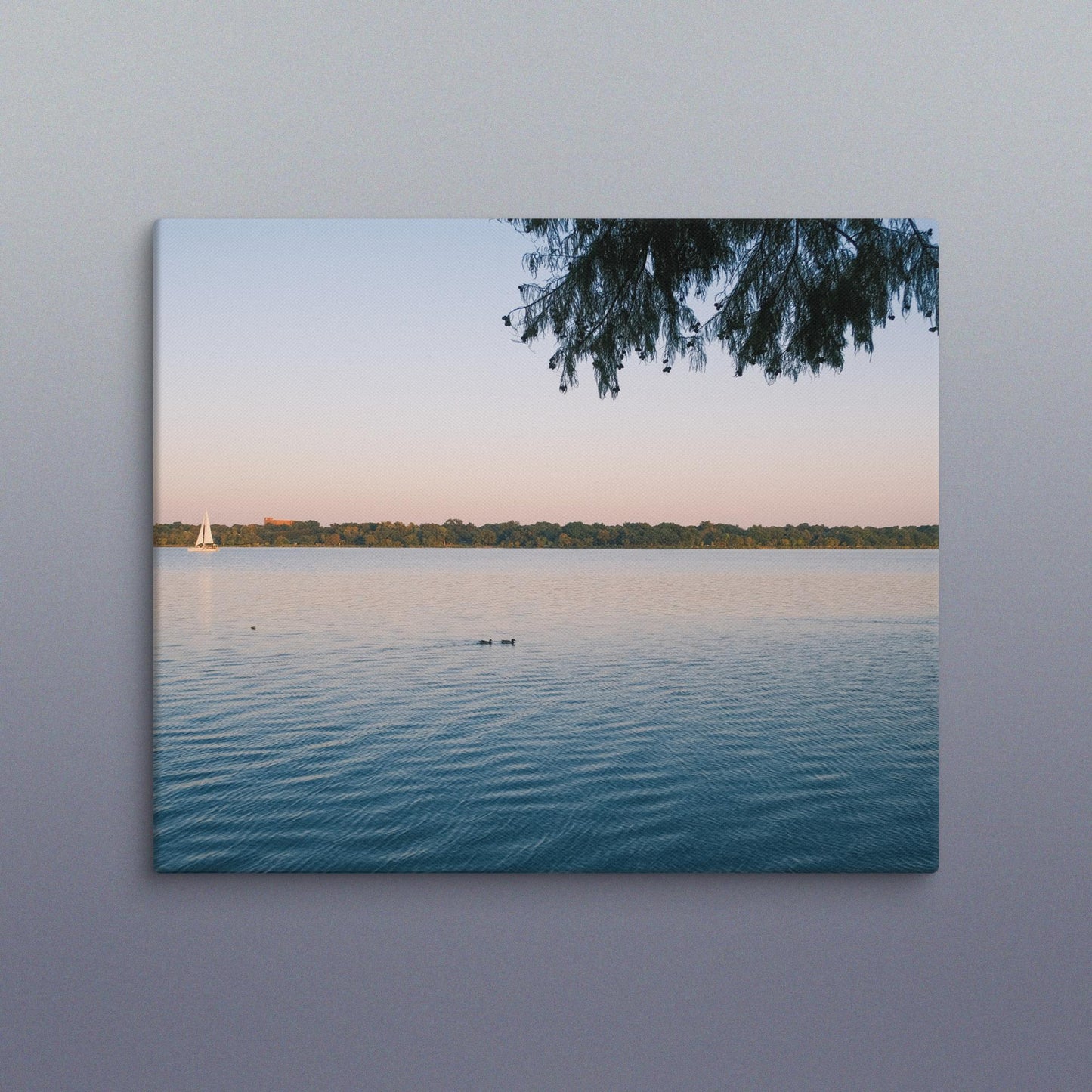 Lake Canvas