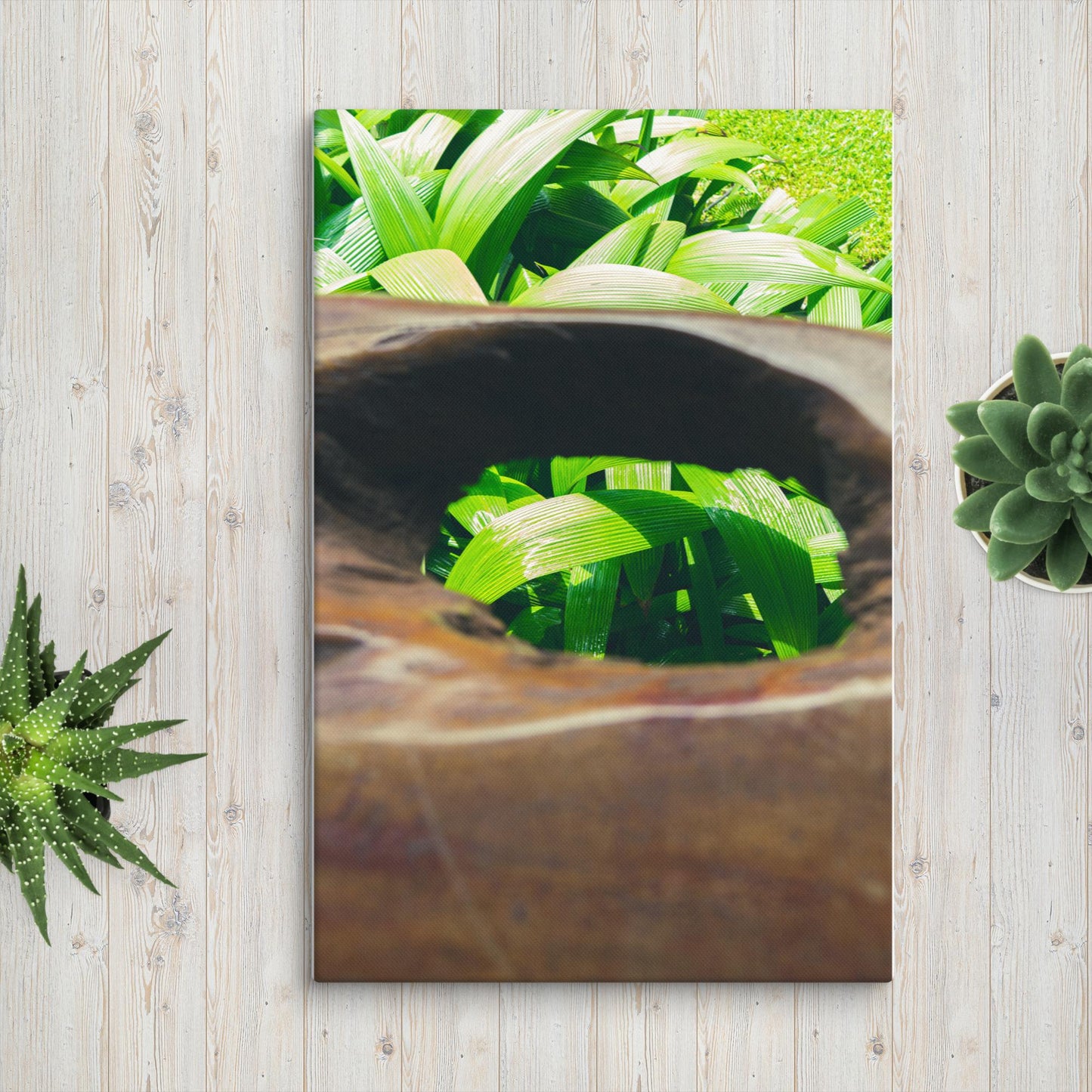 Green Leaf Canvas