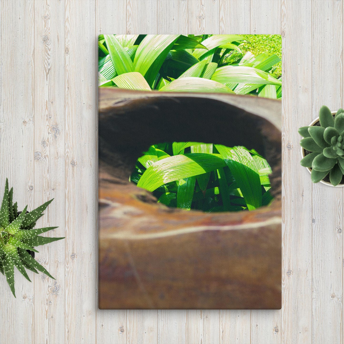 Green Leaf Canvas